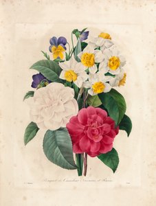 Bouquet of Camellias, Narcissus and Pansies, engraved by Victor, from 